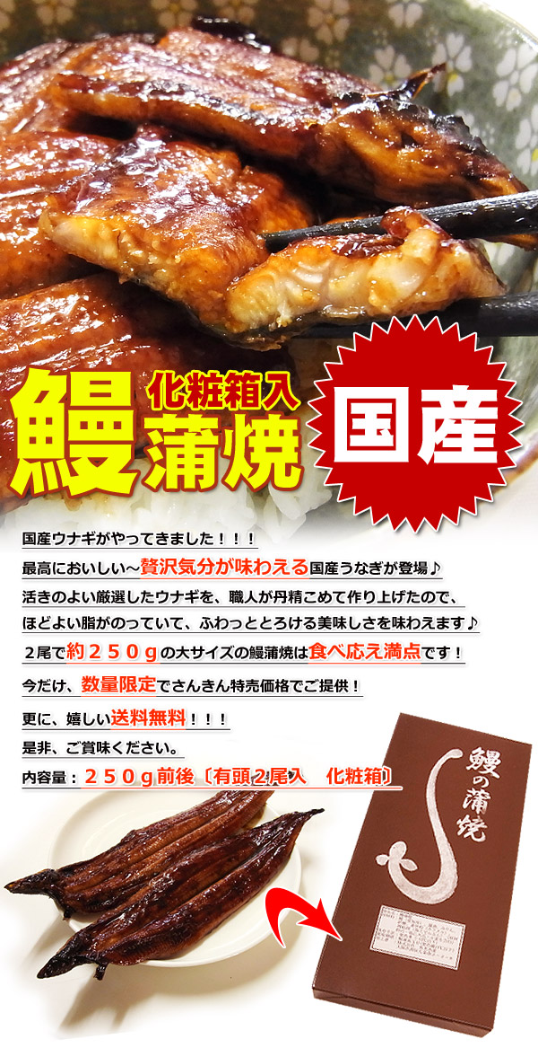 入手困難 うなぎ ウナギ 焼津水産高校の鰻蒲焼セット 80g×3P 二年養殖 抗生物質不使用 黒門市場 materialworldblog.com